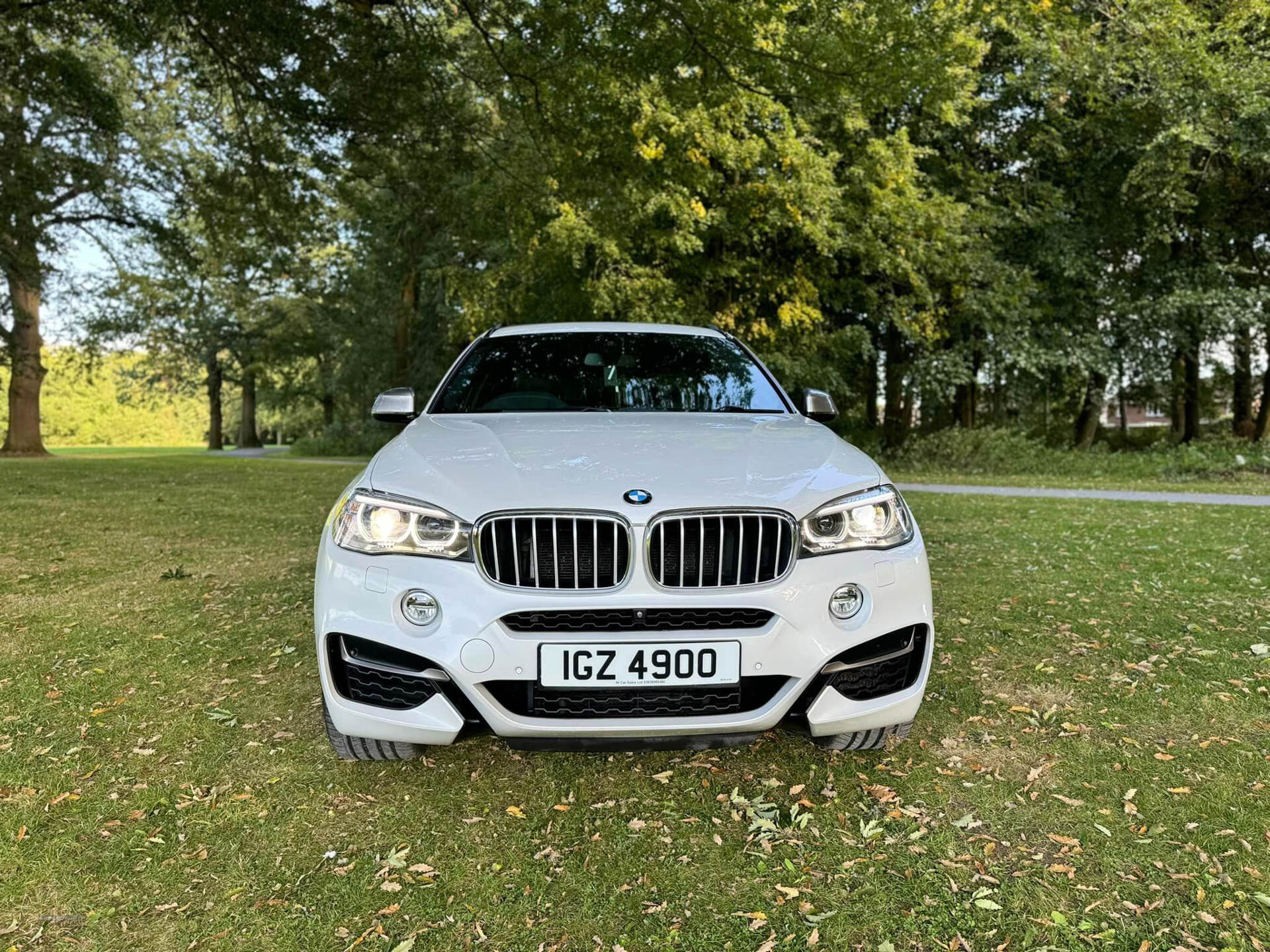 BMW X6 DIESEL ESTATE in Armagh