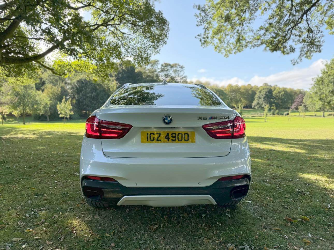 BMW X6 DIESEL ESTATE in Armagh