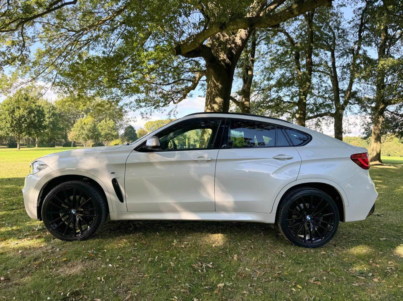 BMW X6 DIESEL ESTATE in Armagh