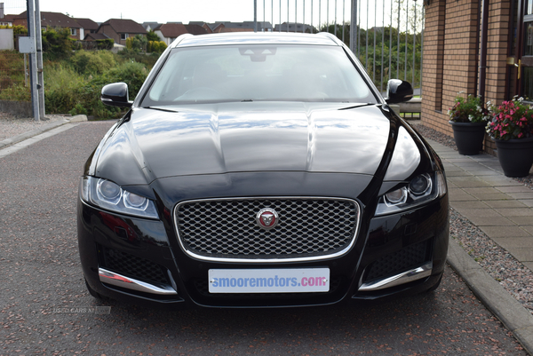 Jaguar XF SPORTBRAKE in Antrim