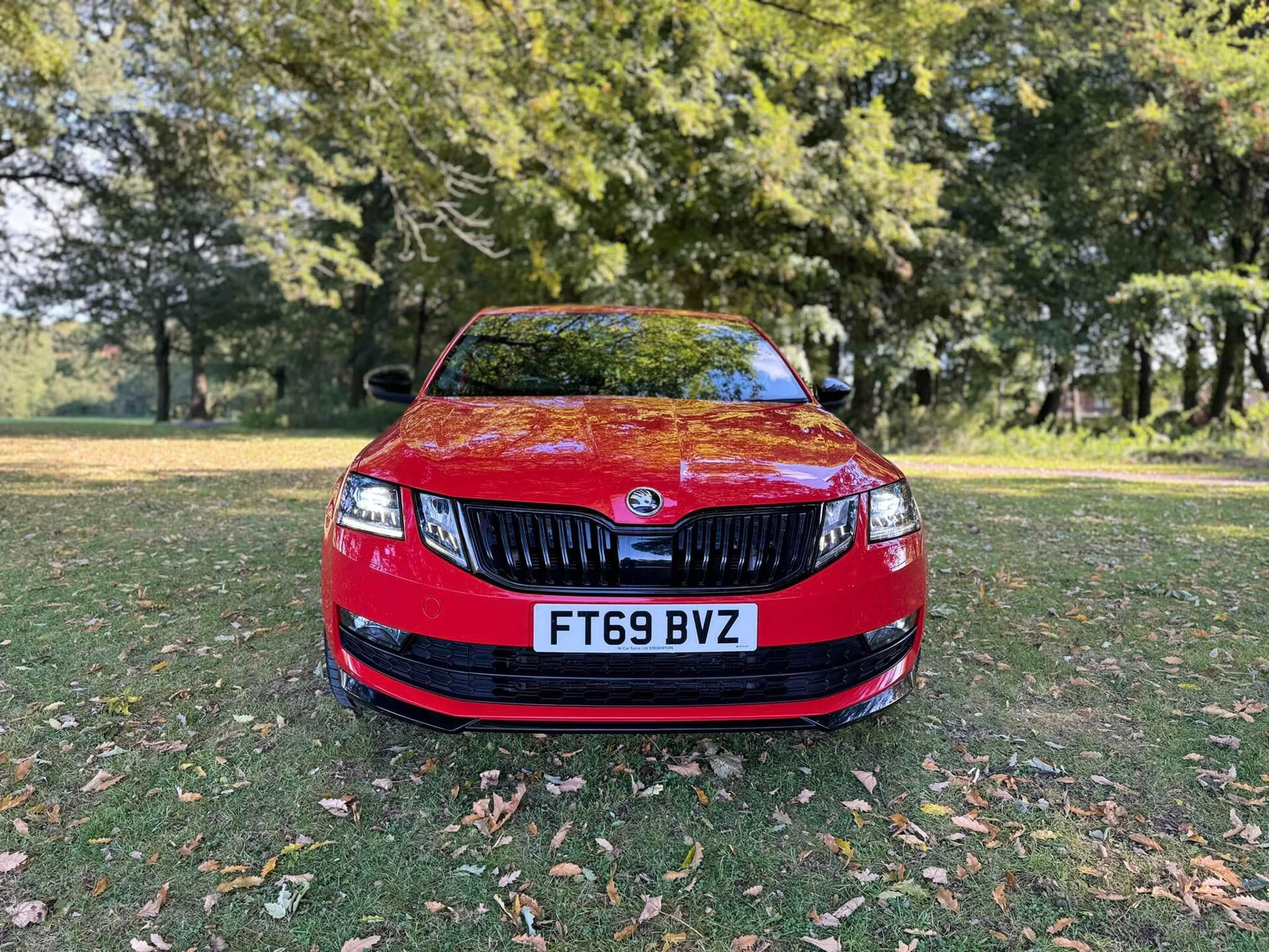 Skoda Octavia DIESEL HATCHBACK in Armagh