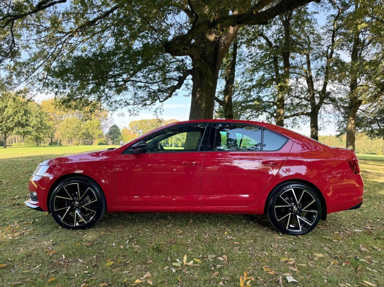 Skoda Octavia DIESEL HATCHBACK in Armagh