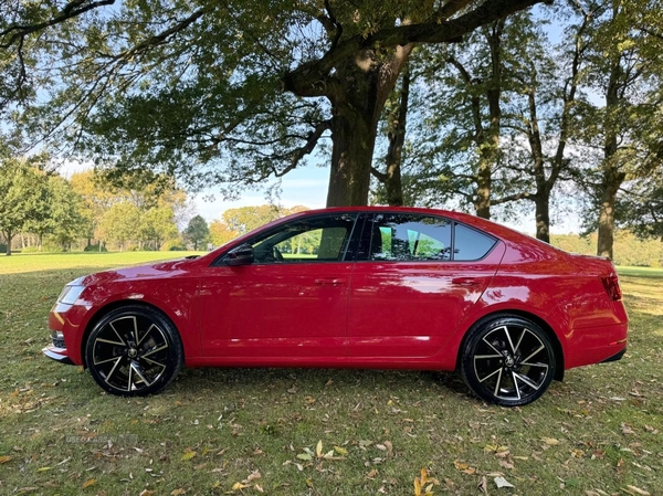 Skoda Octavia DIESEL HATCHBACK in Armagh