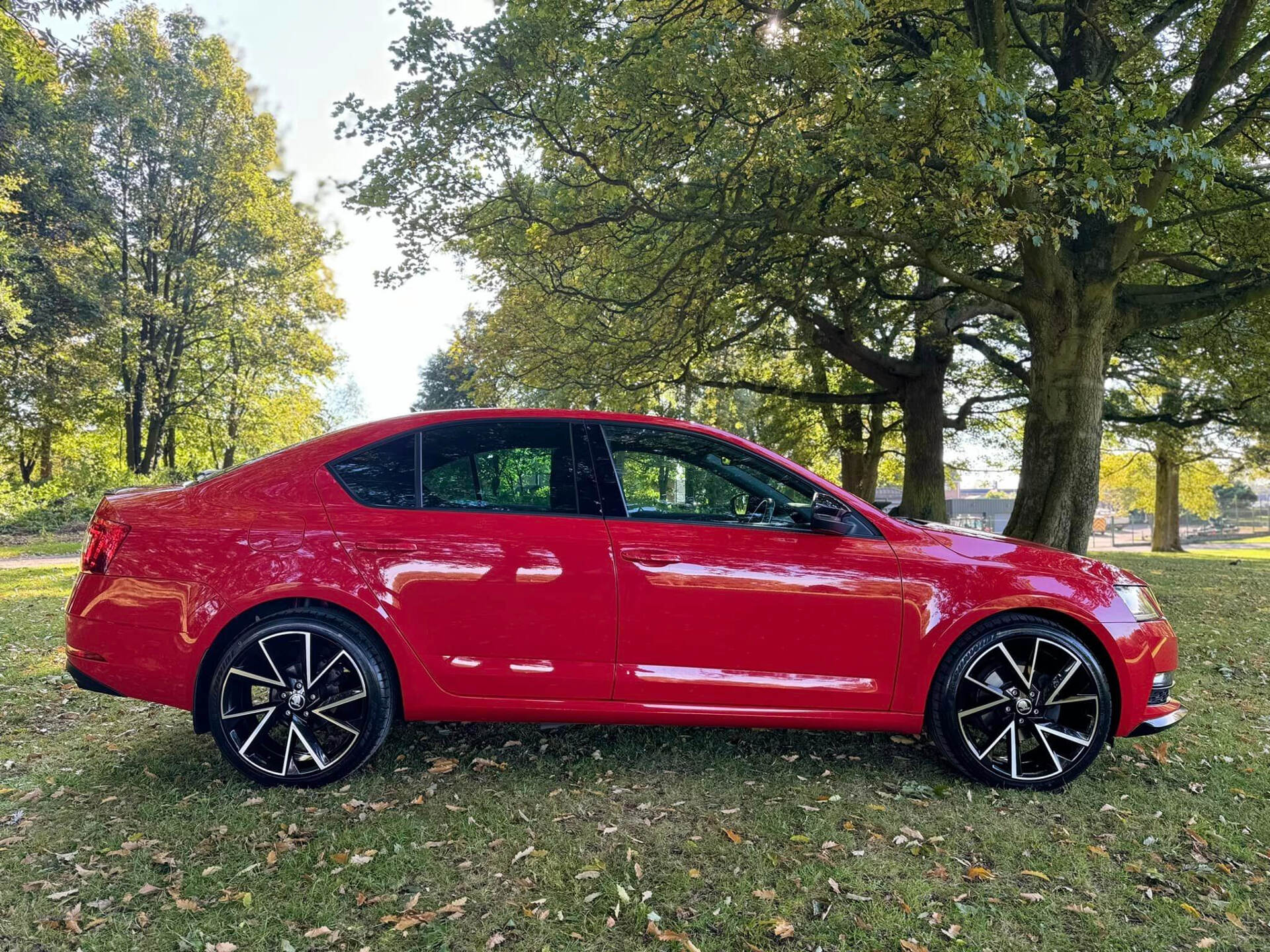 Skoda Octavia DIESEL HATCHBACK in Armagh