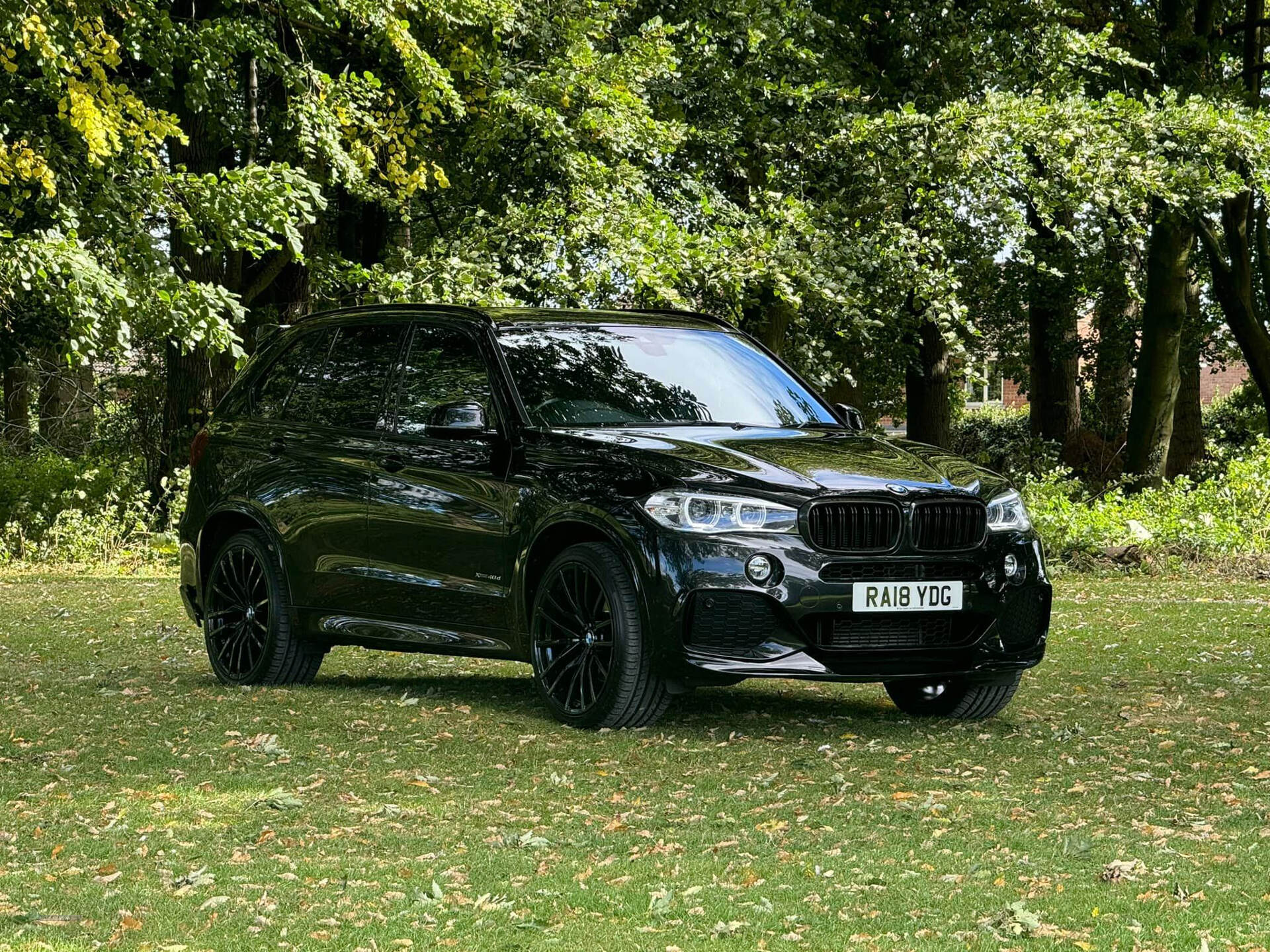 BMW X5 DIESEL ESTATE in Armagh