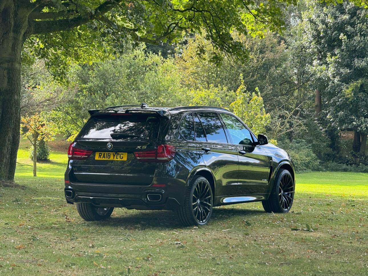 BMW X5 DIESEL ESTATE in Armagh