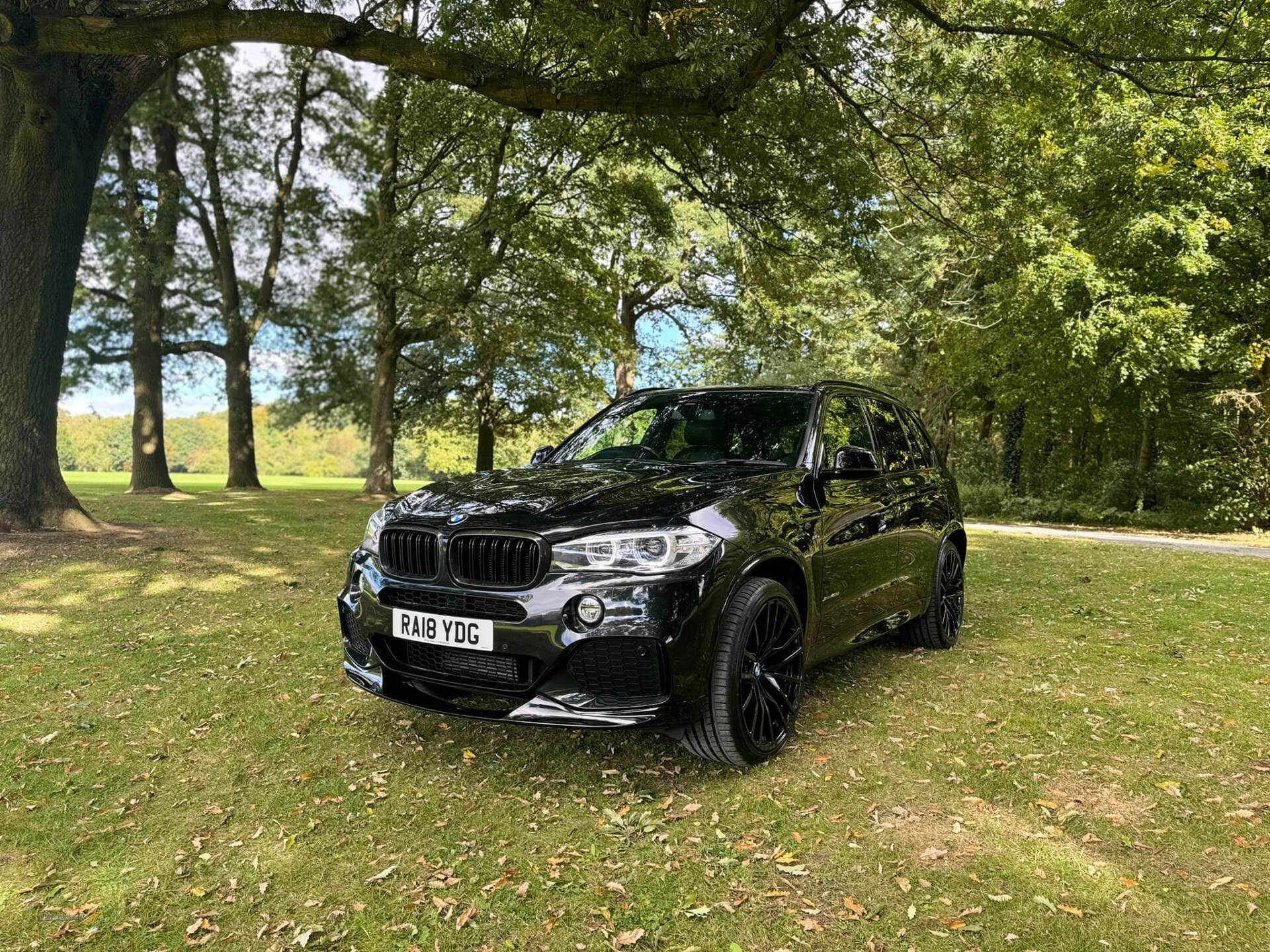 BMW X5 DIESEL ESTATE in Armagh