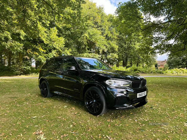 BMW X5 DIESEL ESTATE in Armagh