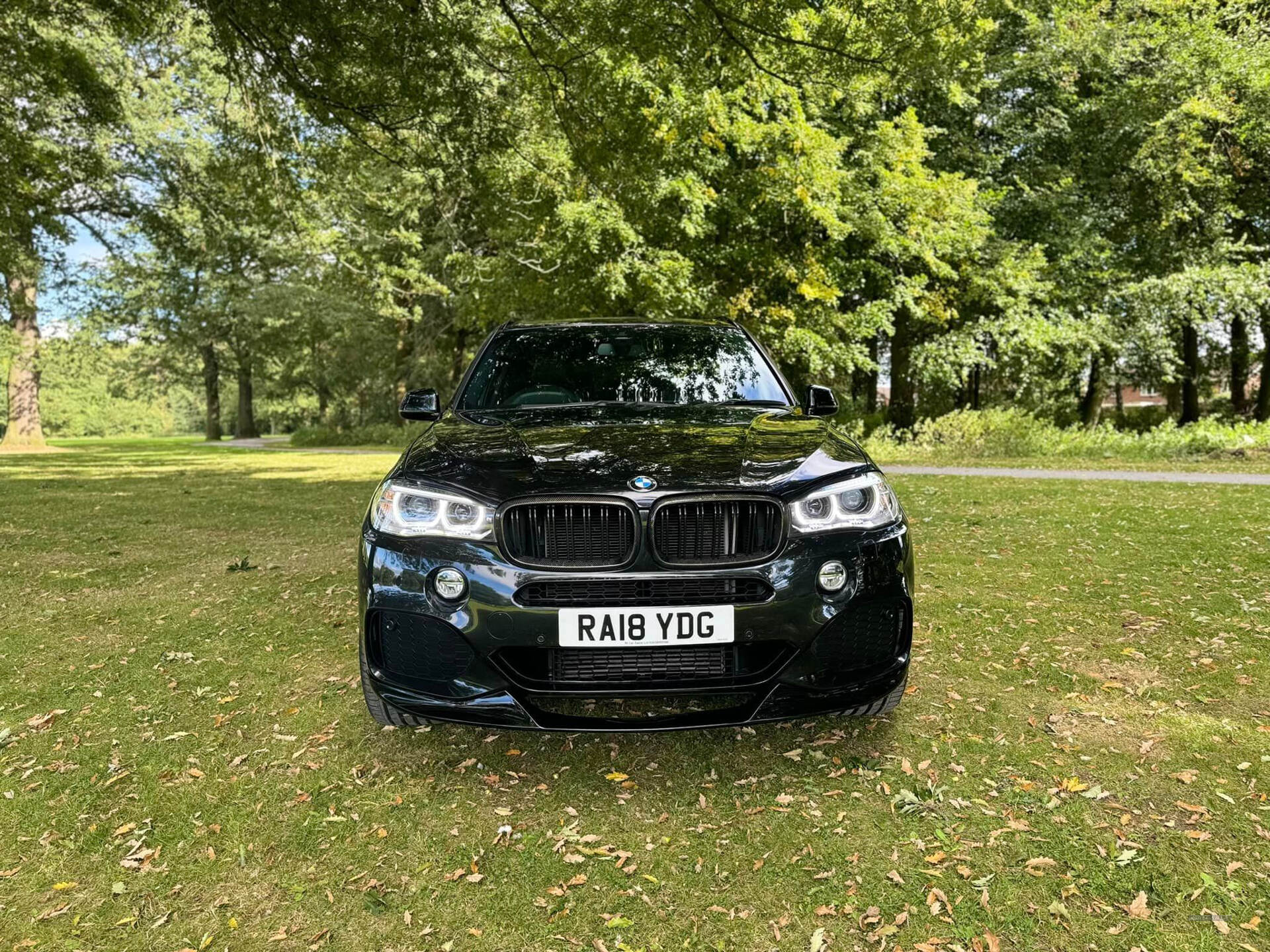 BMW X5 DIESEL ESTATE in Armagh