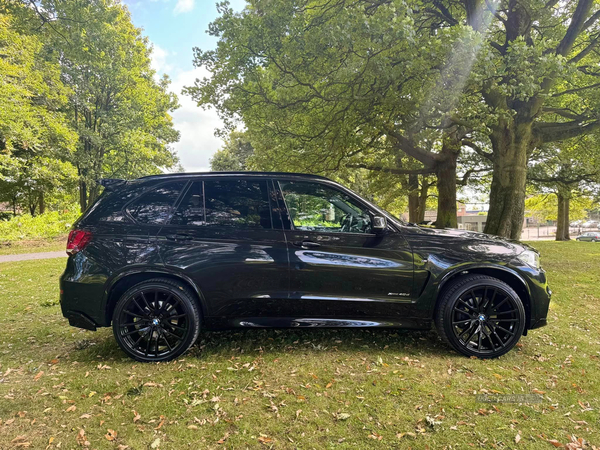 BMW X5 DIESEL ESTATE in Armagh