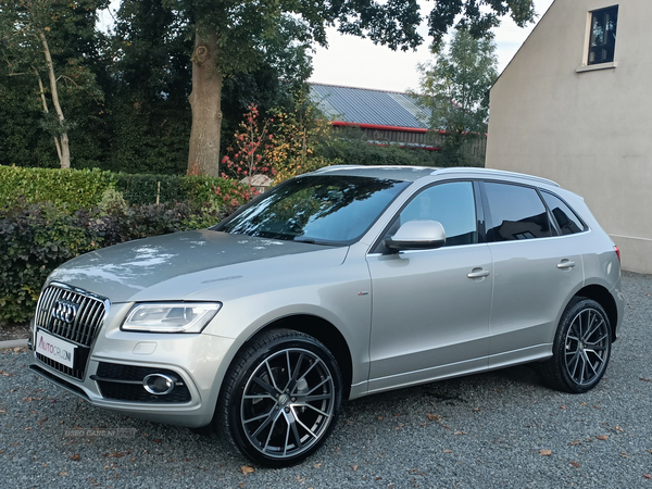 Audi Q5 ESTATE SPECIAL EDITIONS in Tyrone