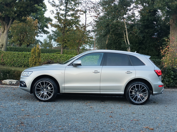 Audi Q5 ESTATE SPECIAL EDITIONS in Tyrone