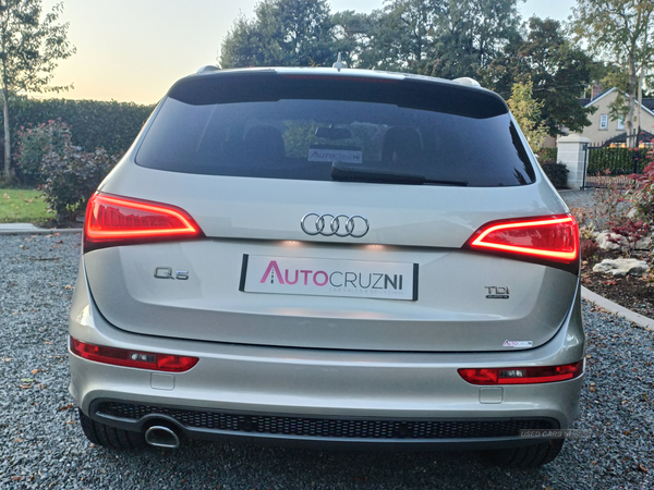 Audi Q5 ESTATE SPECIAL EDITIONS in Tyrone