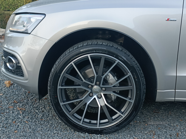 Audi Q5 ESTATE SPECIAL EDITIONS in Tyrone