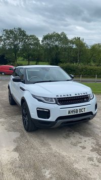 Land Rover Range Rover Evoque in Armagh