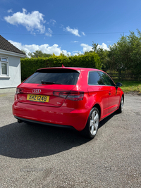 Audi A3 1.6 TDI Sport 3dr in Tyrone