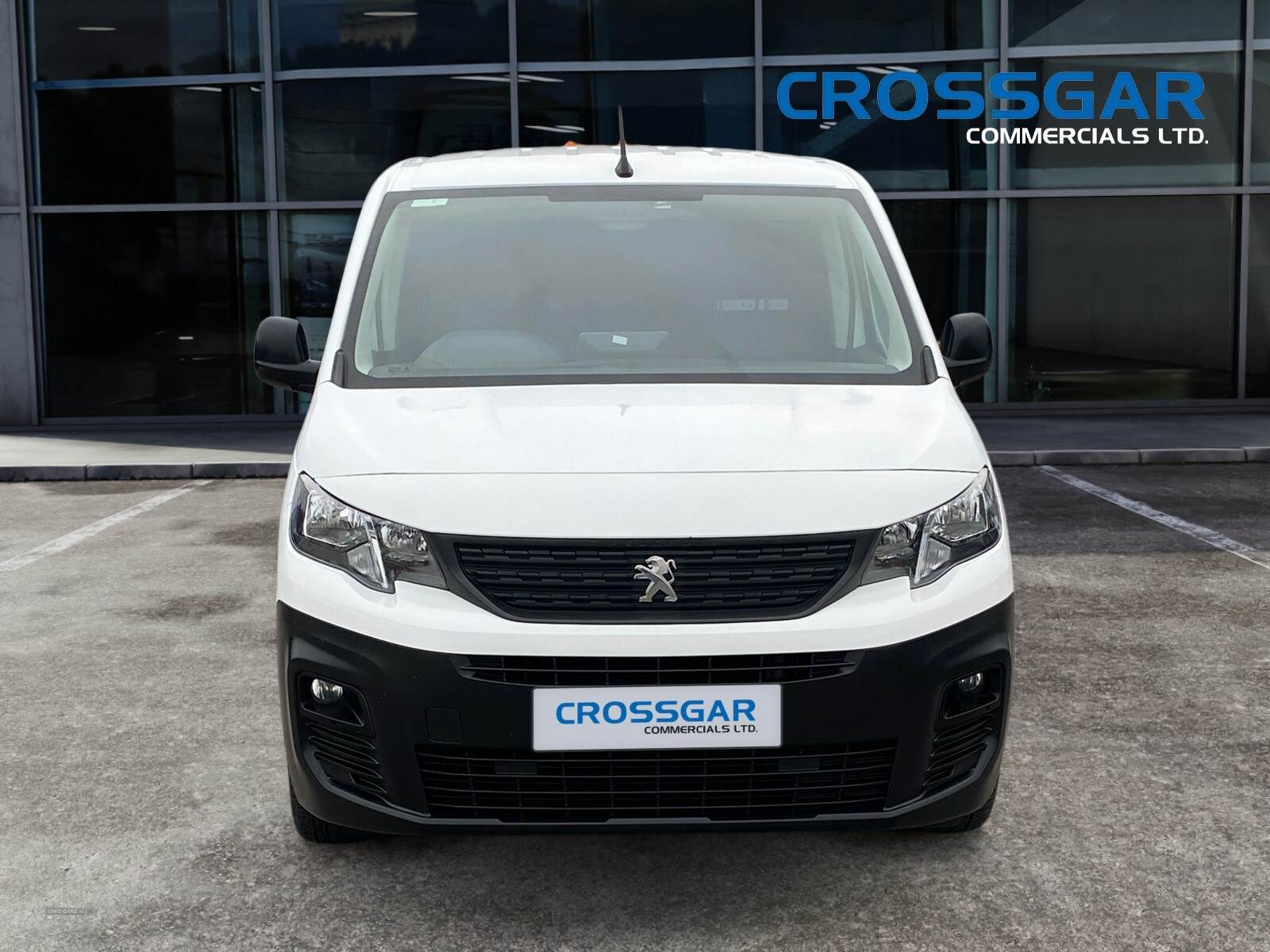 Peugeot Partner STANDARD DIESEL in Down