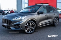 Ford Kuga 1.5 EcoBlue ST-Line X Edition 5dr in Derry / Londonderry