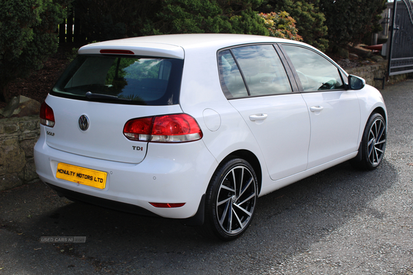 Volkswagen Golf DIESEL HATCHBACK in Tyrone