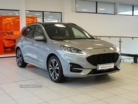 Ford Kuga 1.5 EcoBlue ST-Line X Edition SUV 5dr Diesel Manual Euro 6 (s/s) (120 ps) in Tyrone