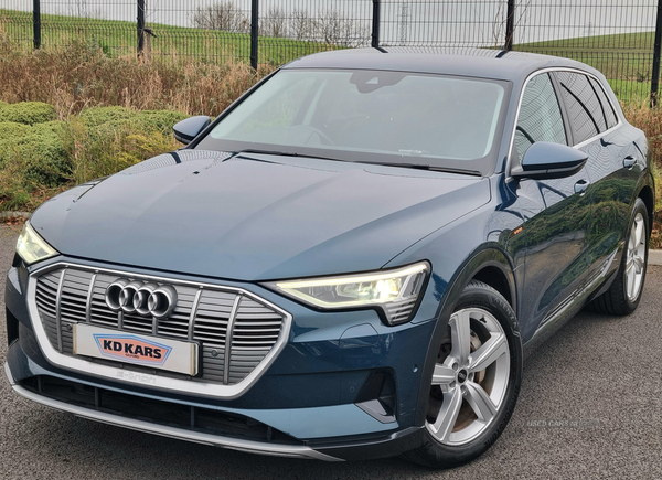 Audi E-Tron ESTATE in Armagh