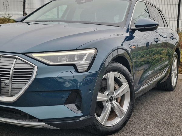 Audi E-Tron ESTATE in Armagh