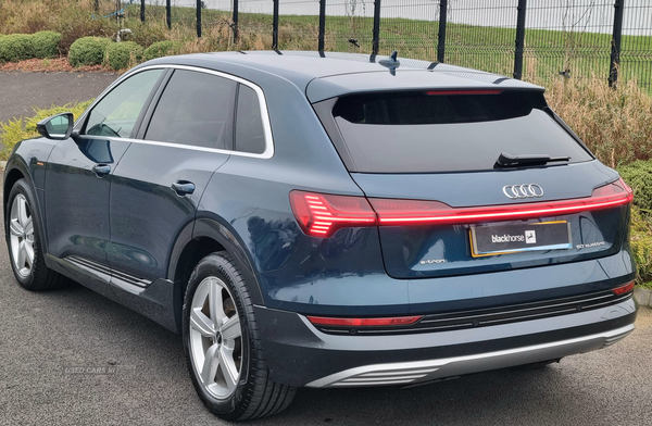 Audi E-Tron ESTATE in Armagh