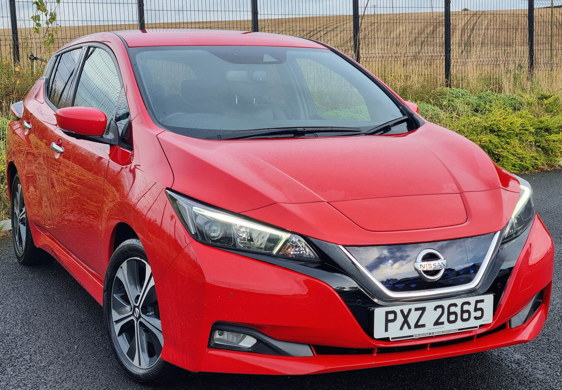 Nissan LEAF HATCHBACK in Armagh