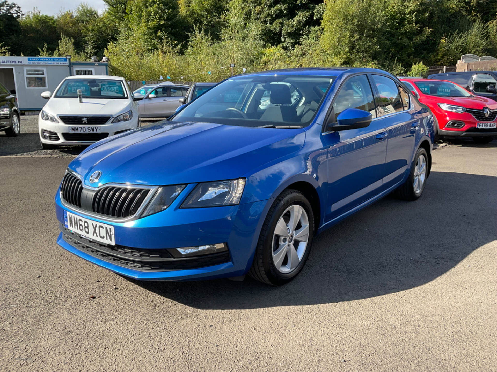 Skoda Octavia DIESEL HATCHBACK in Antrim