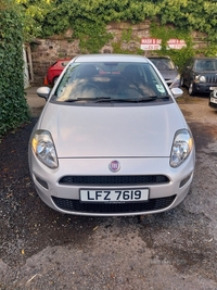 Fiat Punto HATCHBACK in Down