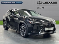 Lexus UX 250H 2.0 5Dr Cvt [Premium Plus/Tech/Safety] in Antrim