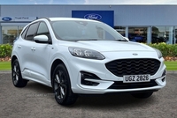 Ford Kuga 2.0 All Wheel Drive 190ps ST-Line Edition 5dr Auto AWD, Apple Car Play, Android Auto, Parking Sensors & Rear Camera, Sat Nav, Electronic Tailgate in Antrim