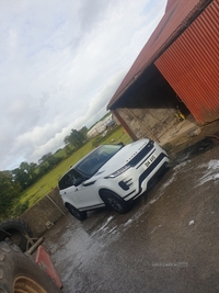 Land Rover Range Rover Evoque 2.0 D180 R-Dynamic 5dr Auto in Fermanagh