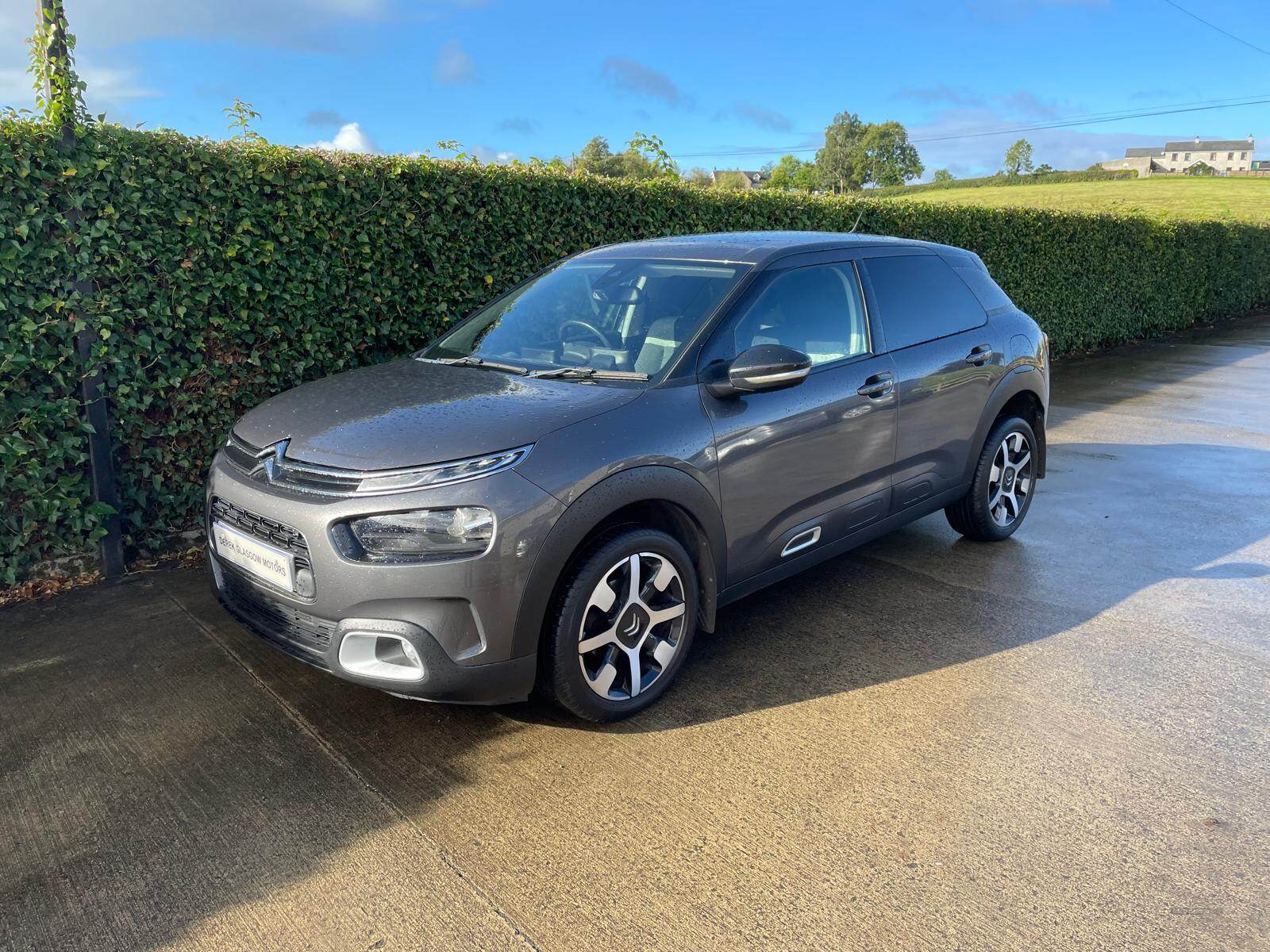 Citroen C4 Cactus DIESEL HATCHBACK in Tyrone