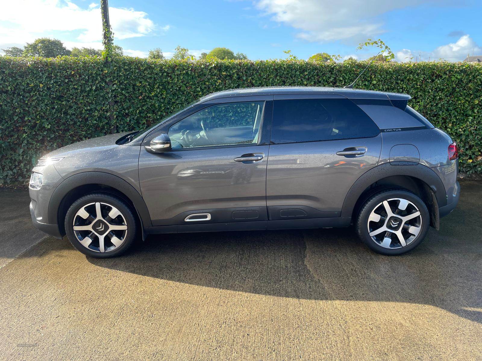 Citroen C4 Cactus DIESEL HATCHBACK in Tyrone