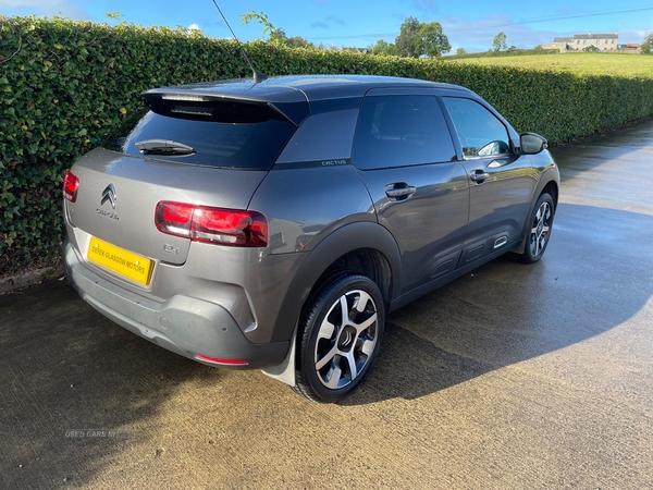 Citroen C4 Cactus DIESEL HATCHBACK in Tyrone