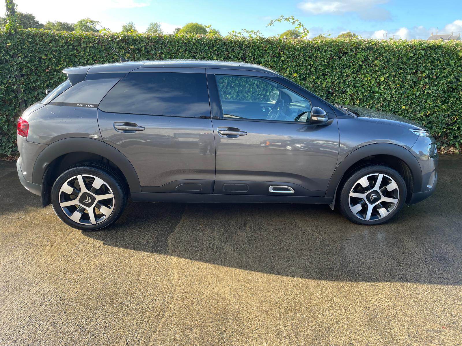 Citroen C4 Cactus DIESEL HATCHBACK in Tyrone