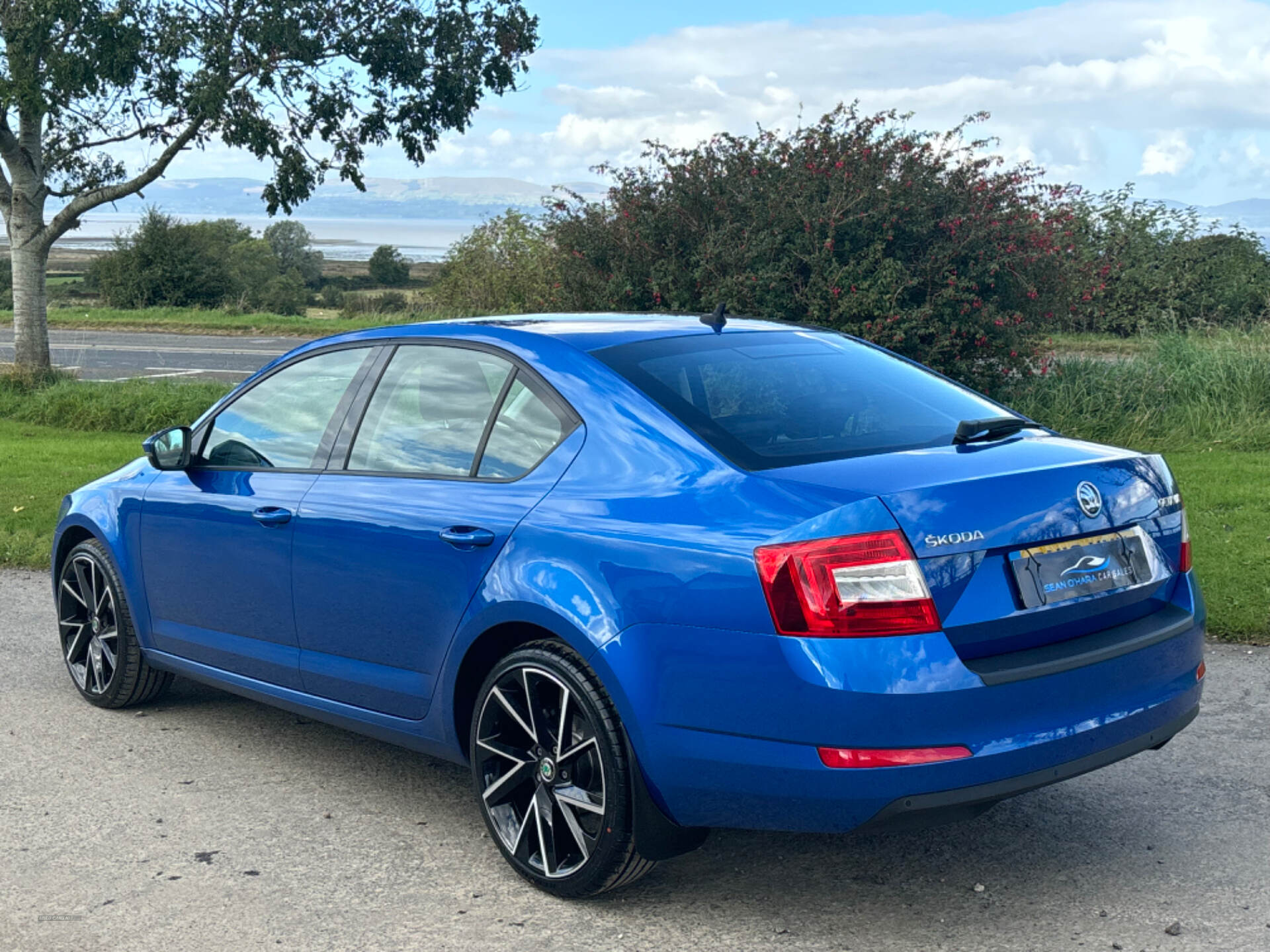 Skoda Octavia DIESEL HATCHBACK in Derry / Londonderry