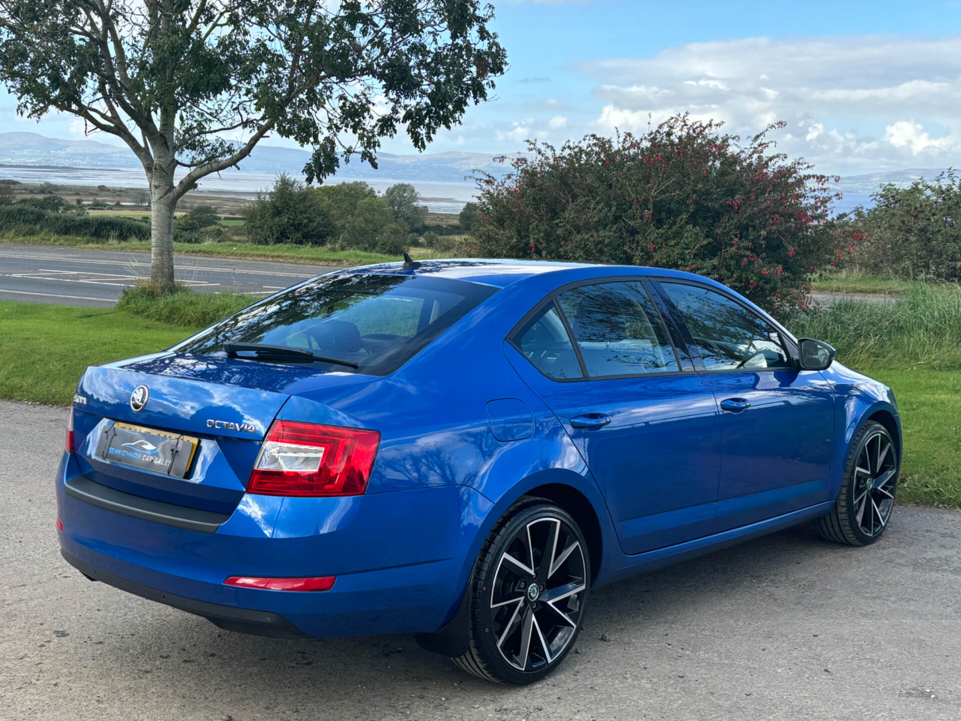 Skoda Octavia DIESEL HATCHBACK in Derry / Londonderry