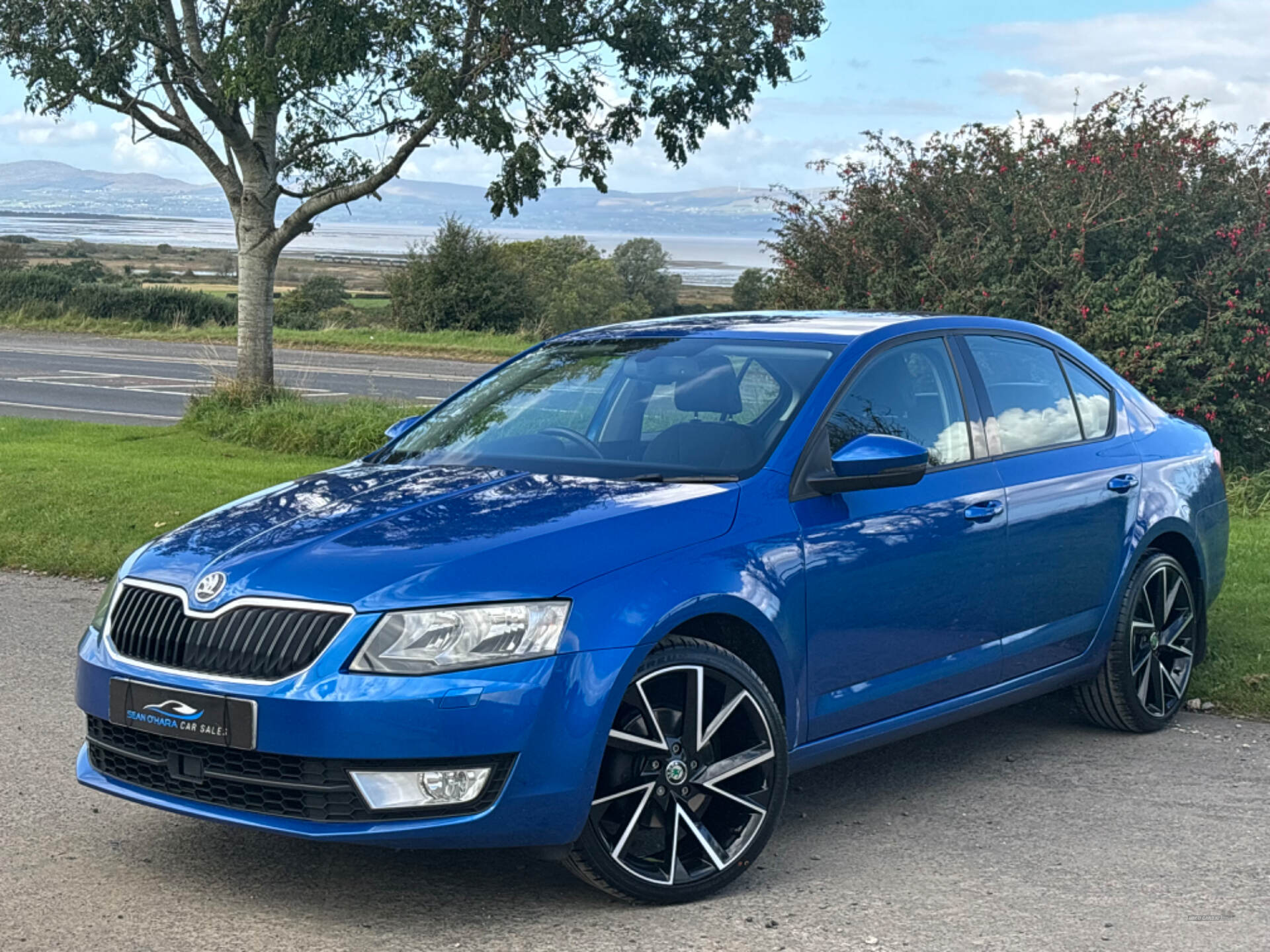 Skoda Octavia DIESEL HATCHBACK in Derry / Londonderry