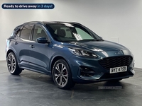 Ford Kuga 2.5 Fhev St-Line X Edition 5Dr Cvt in Antrim