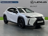 Lexus UX 250H 2.0 5Dr Cvt [Premium Sport Edition] in Antrim