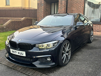 BMW 4 Series 420d [190] SE 5dr [Business Media] in Derry / Londonderry