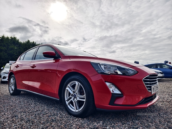 Ford Focus HATCHBACK in Fermanagh