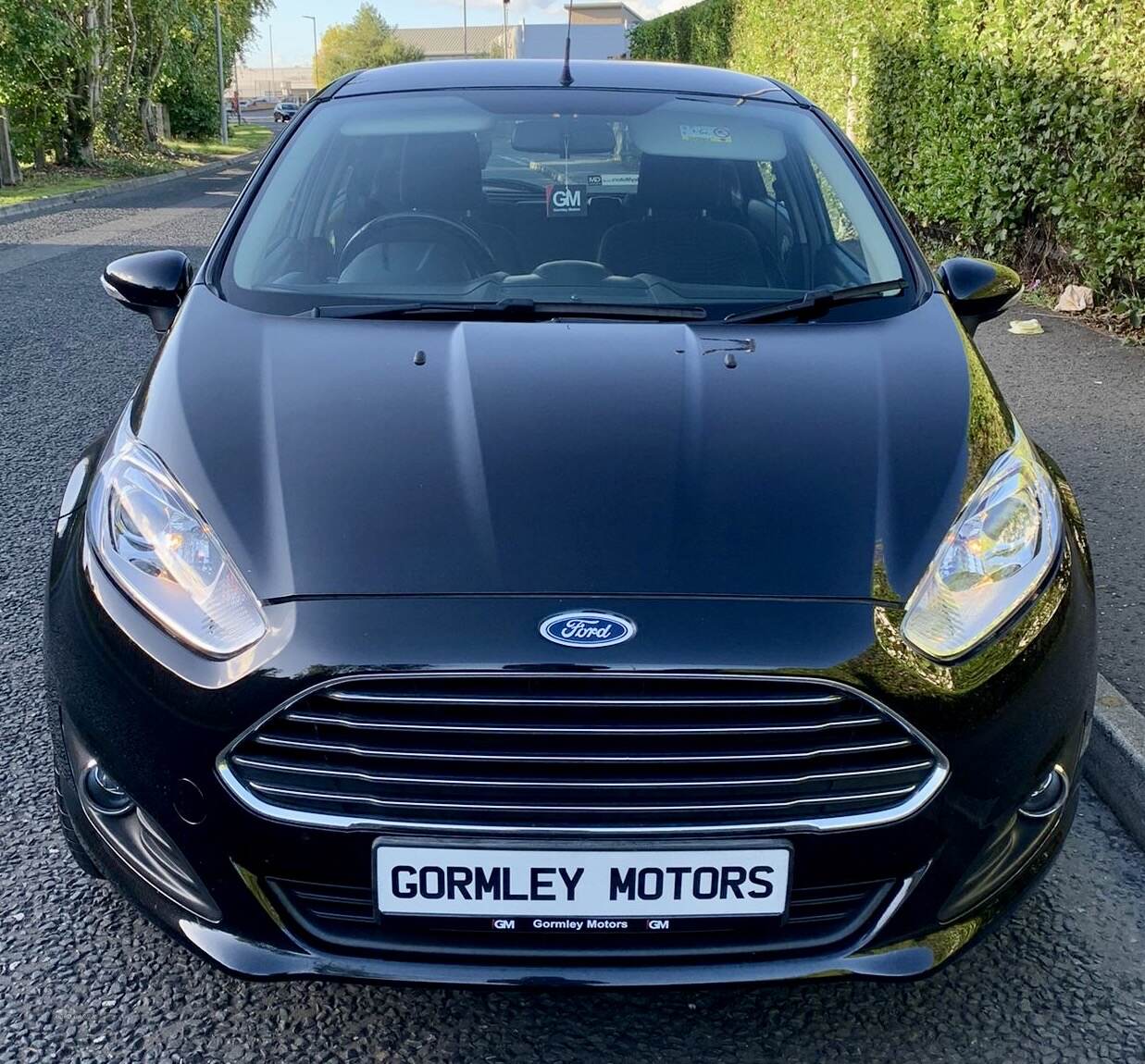 Ford Fiesta HATCHBACK in Tyrone