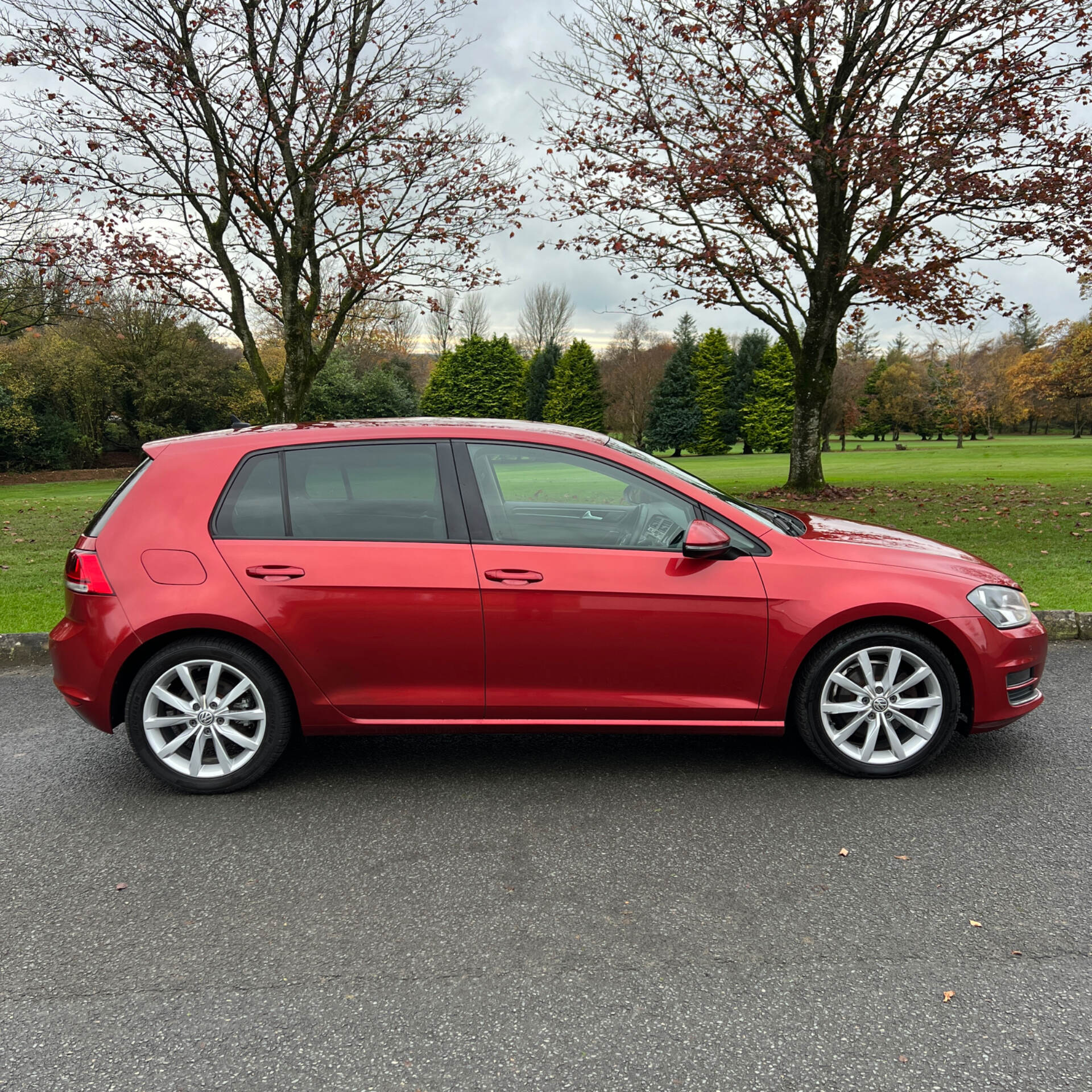 Volkswagen Golf DIESEL HATCHBACK in Tyrone