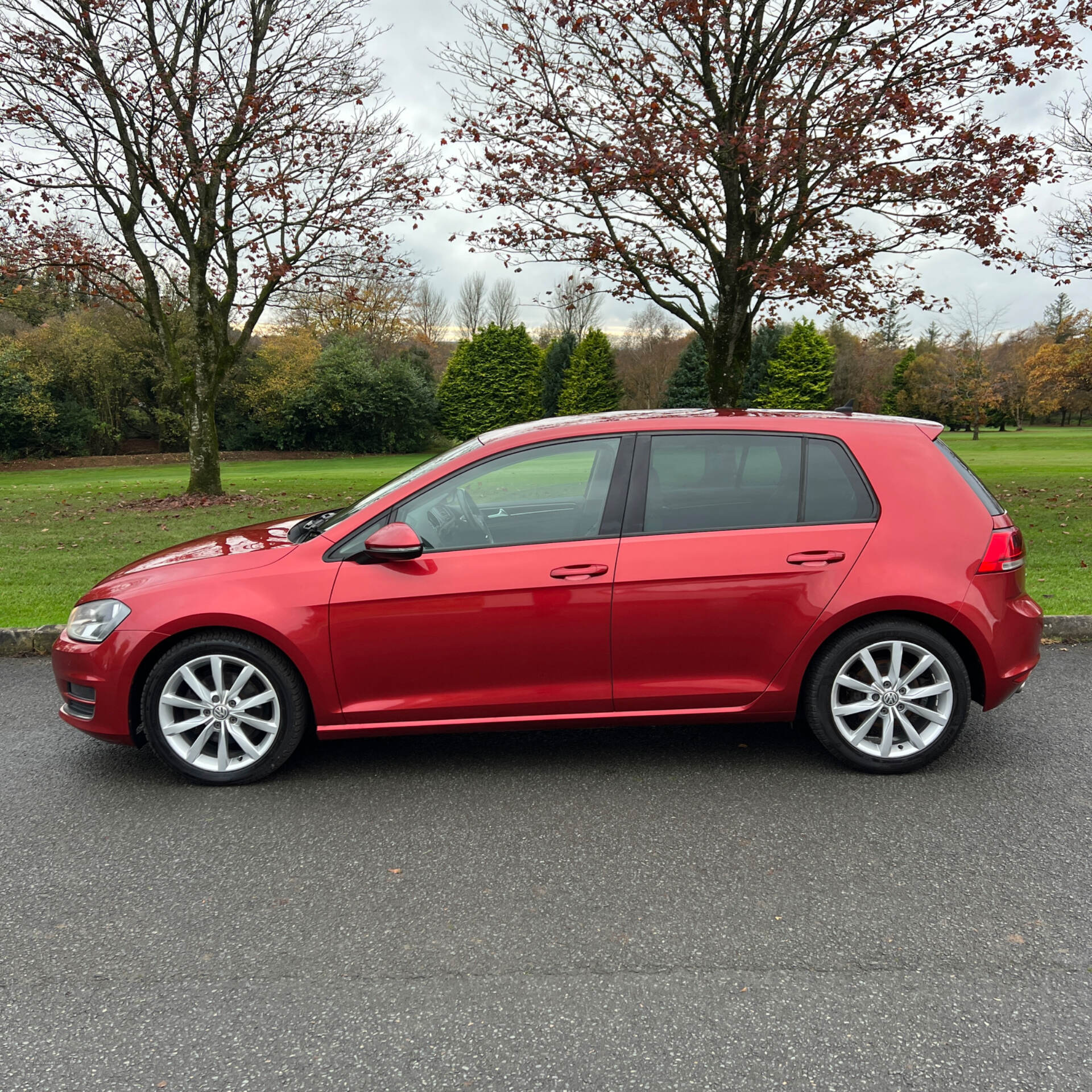 Volkswagen Golf DIESEL HATCHBACK in Tyrone