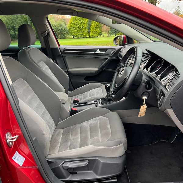 Volkswagen Golf DIESEL HATCHBACK in Tyrone