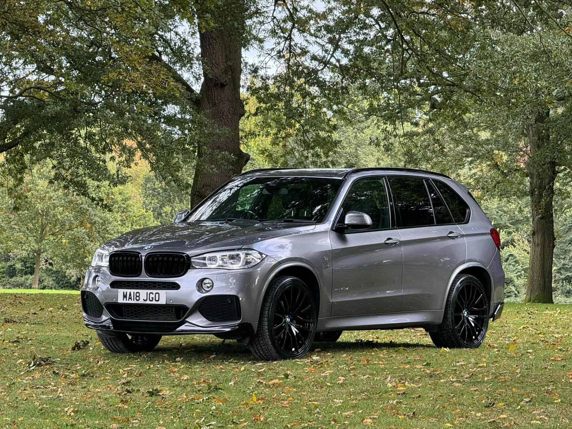 BMW X5 DIESEL ESTATE in Armagh