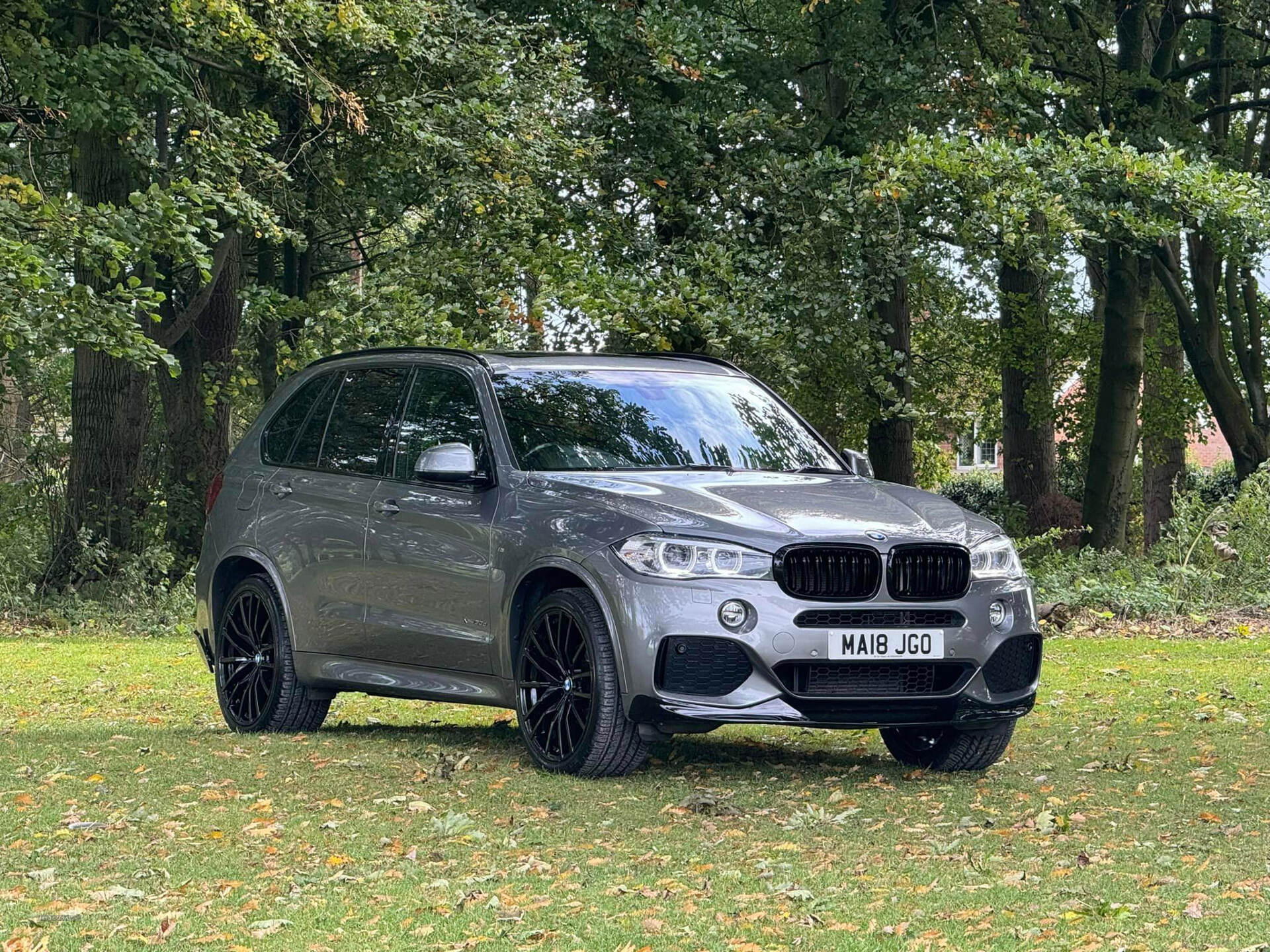 BMW X5 DIESEL ESTATE in Armagh